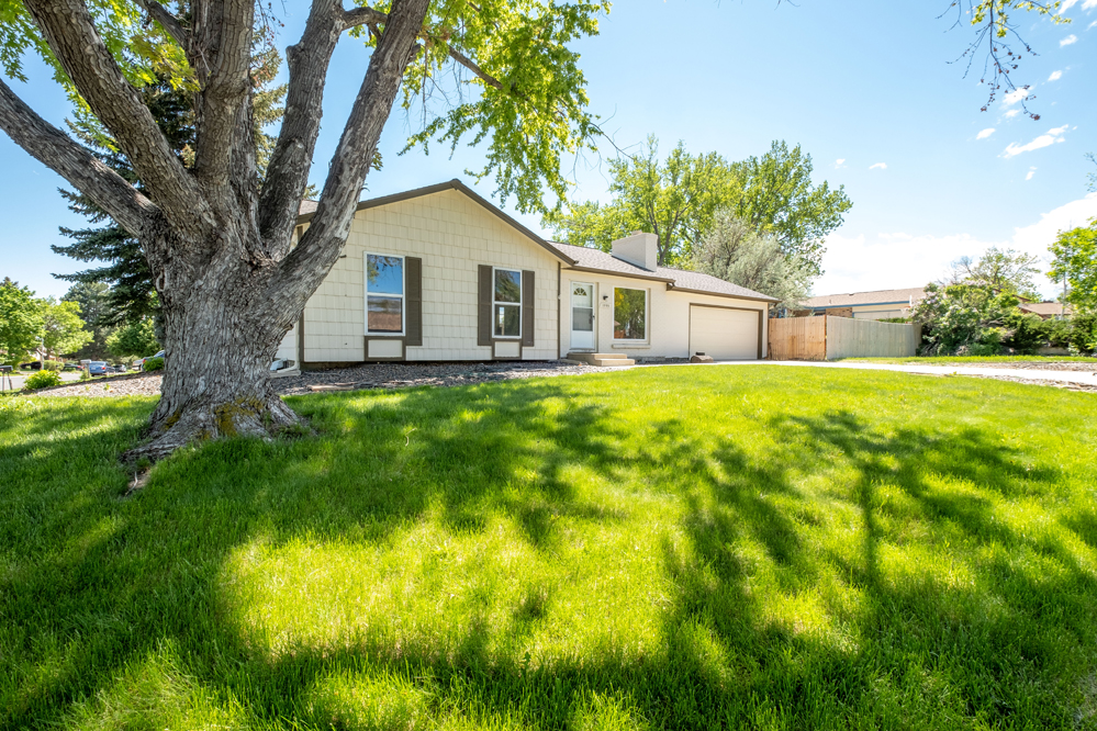 1599 Cedar Street